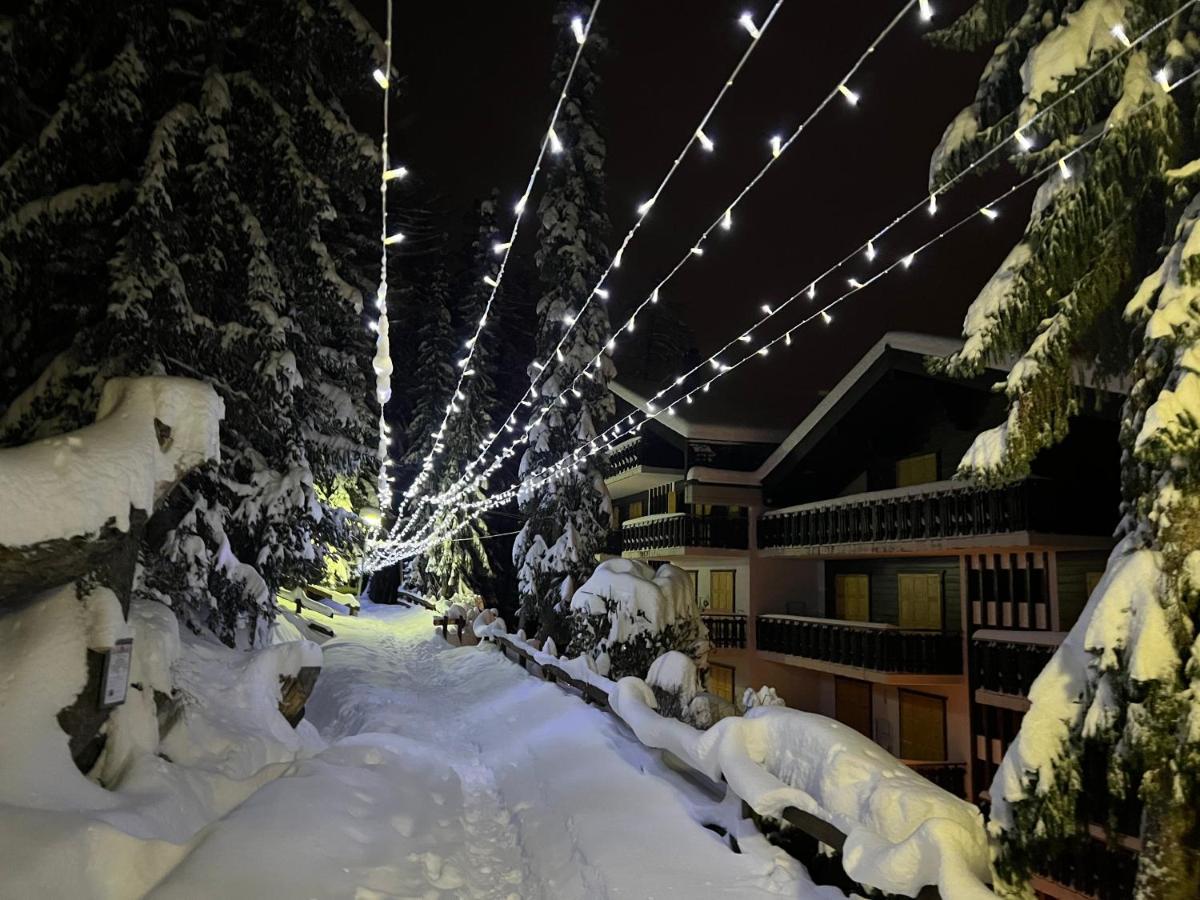 Cosy Studio For 4 Near Ski Lift, Melezes K22 Veysonnaz Ngoại thất bức ảnh